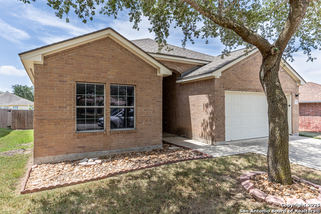 Image 3 of 33 For 1134 Seven Iron