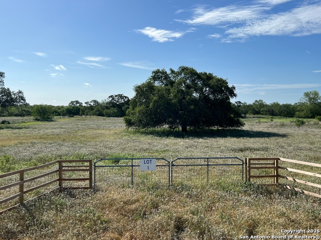 Image 4 of 8 For 7676 Schultz Road Lot 1