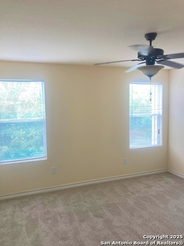 Image 5 of 11 For 6335 Melanzane 3