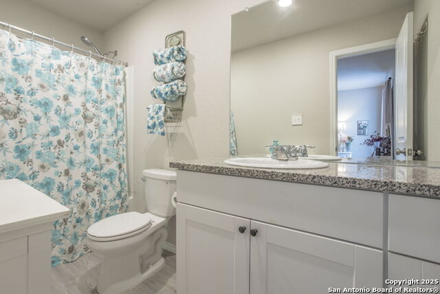 Image 12 of 24 For 2527 Pechora Pipit