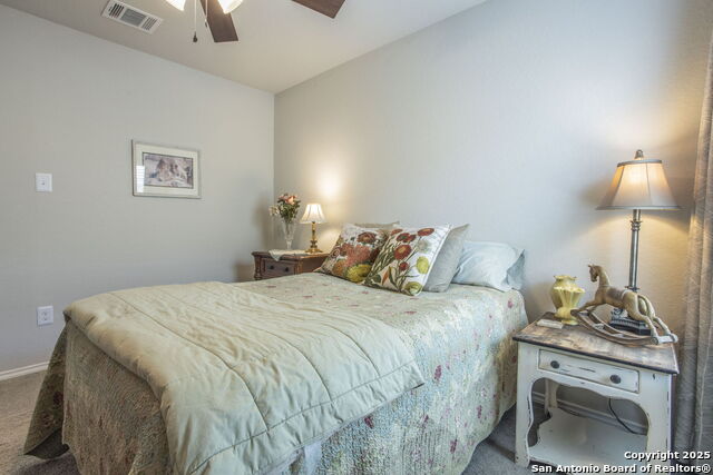 Image 14 of 24 For 2527 Pechora Pipit