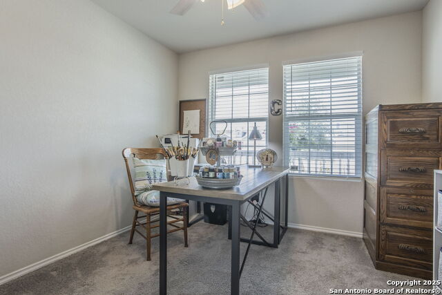 Image 16 of 24 For 2527 Pechora Pipit