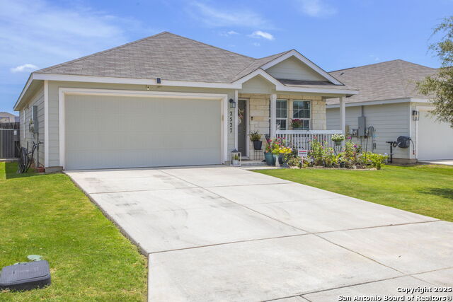 Image 17 of 24 For 2527 Pechora Pipit