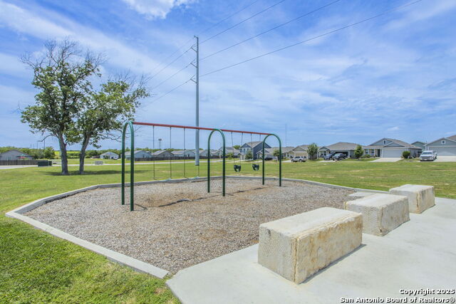 Image 23 of 24 For 2527 Pechora Pipit