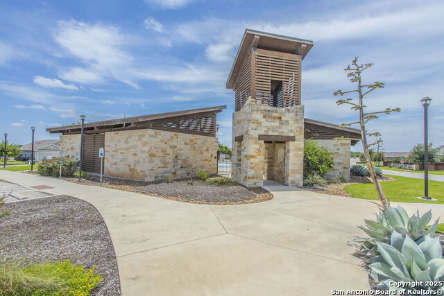 Image 24 of 24 For 2527 Pechora Pipit