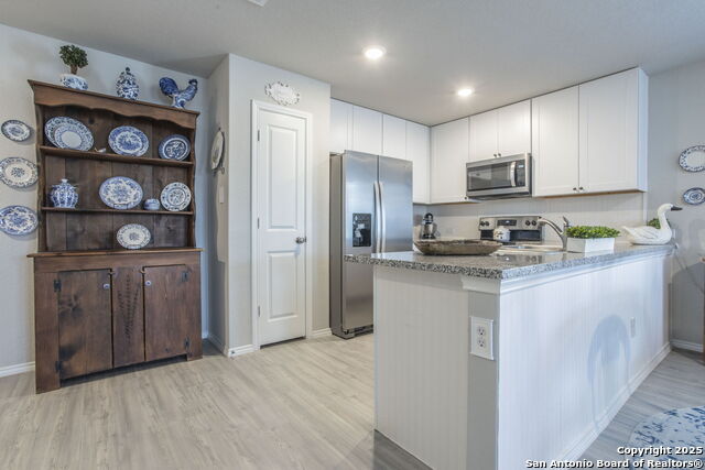 Image 5 of 24 For 2527 Pechora Pipit