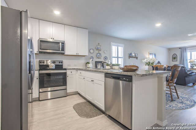 Image 6 of 24 For 2527 Pechora Pipit