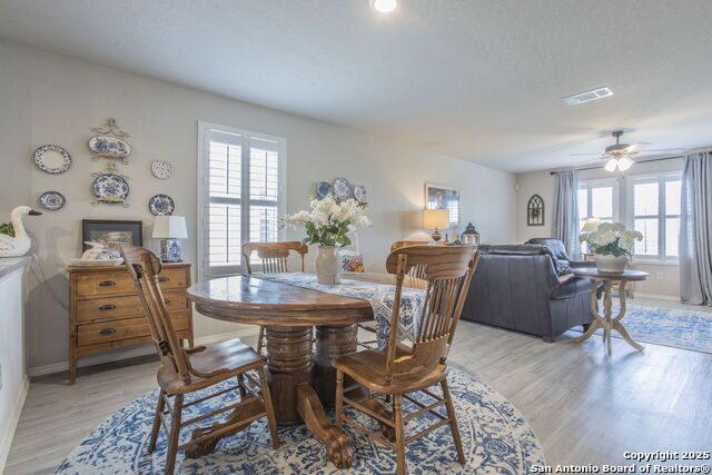 Image 8 of 24 For 2527 Pechora Pipit