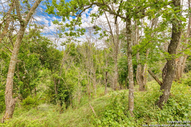 Listing photo id 11 for 316 W San Antonio Ave