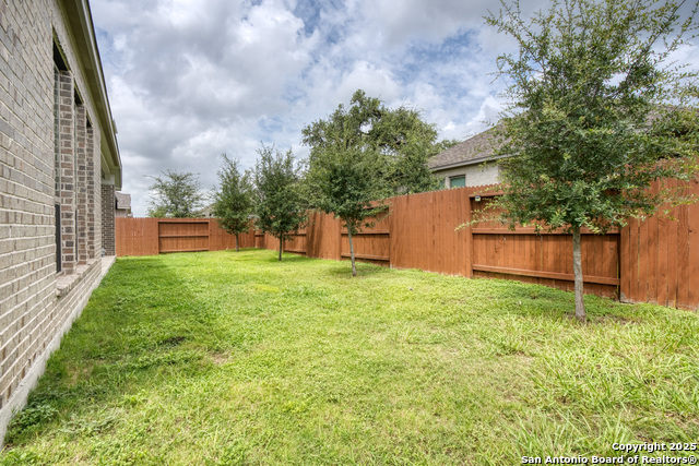 Image 31 of 33 For 1485 Pitcher