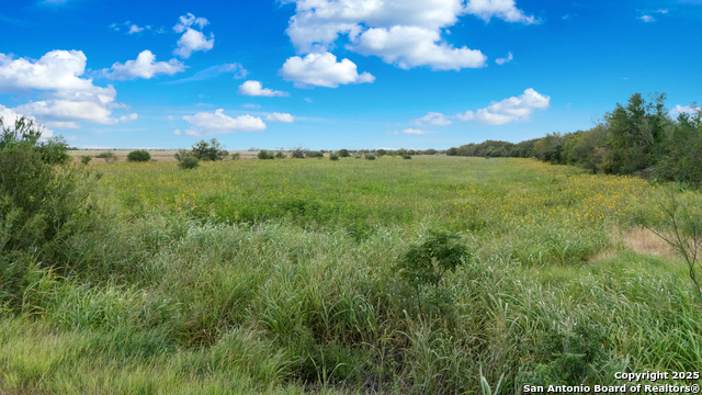 Listing photo id 13 for 0 Westmeyer  