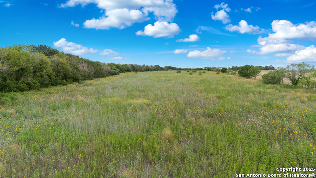 Listing photo id 7 for 0 Westmeyer  