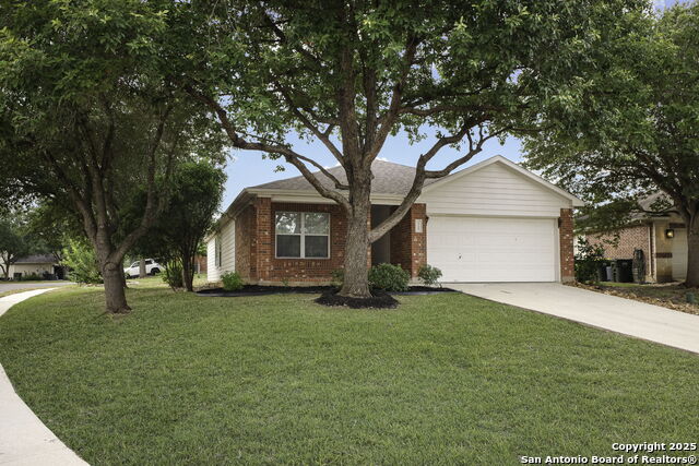 Image 3 of 14 For 5708 Crooked Stick