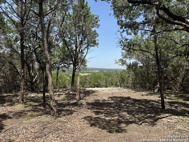 Listing photo id 22 for 1229 Stallion Springs Dr