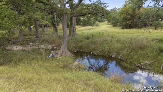 Image 15 of 15 For Lot 67 Sabinas Spgs Road