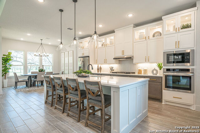 Image 8 of 25 For 167 Pradera Ridge Drive