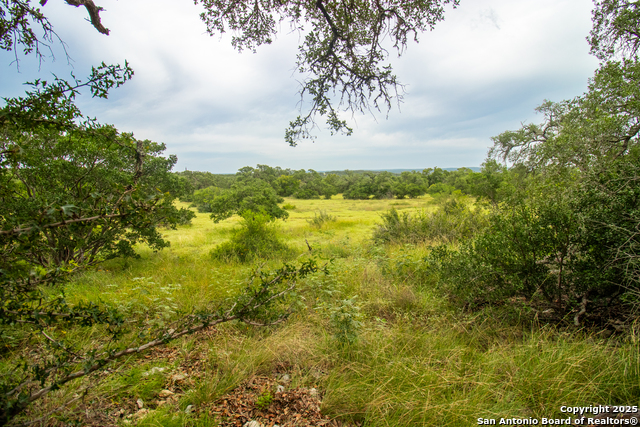 Details for 000 Ridgeline Acres, Spring Branch, TX 78070
