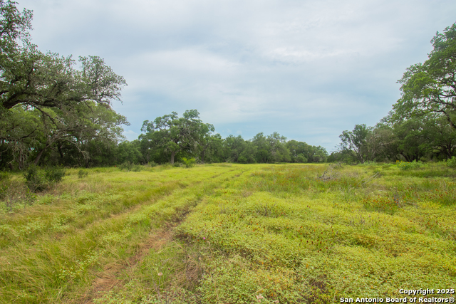 Image 10 of 10 For 000 Ridgeline Acres