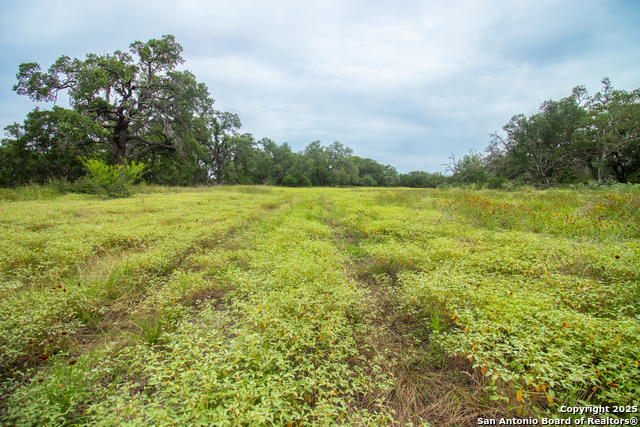 Image 5 of 10 For 000 Ridgeline Acres