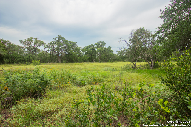 Image 8 of 10 For 000 Ridgeline Acres
