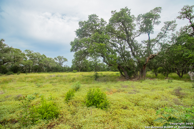 Image 9 of 10 For 000 Ridgeline Acres