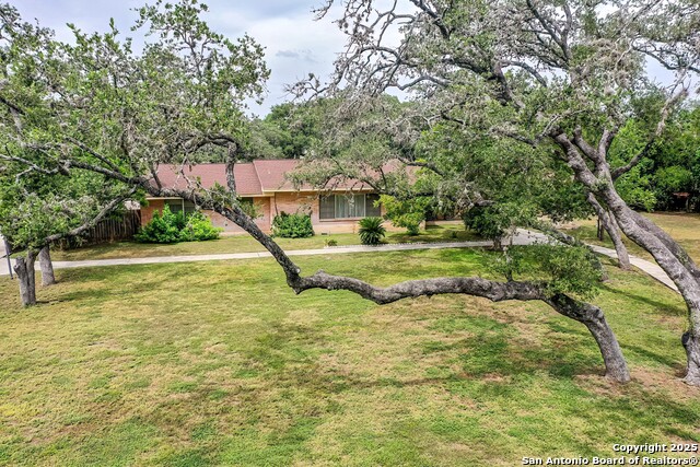 Listing photo id 2 for 1315 Lockhill Selma