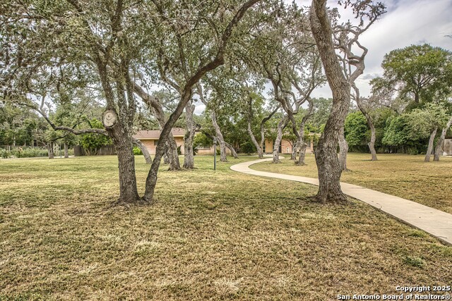 Listing photo id 4 for 1315 Lockhill Selma