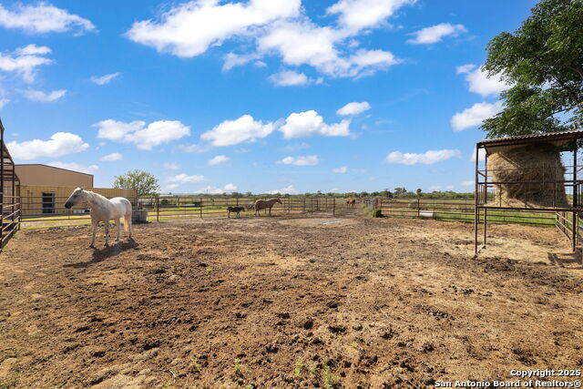 Listing photo id 21 for 18434 Fm 471