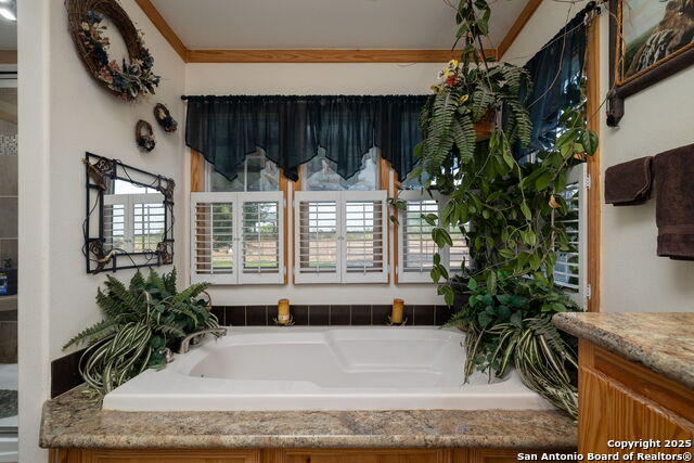 Listing photo id 42 for 18434 Fm 471