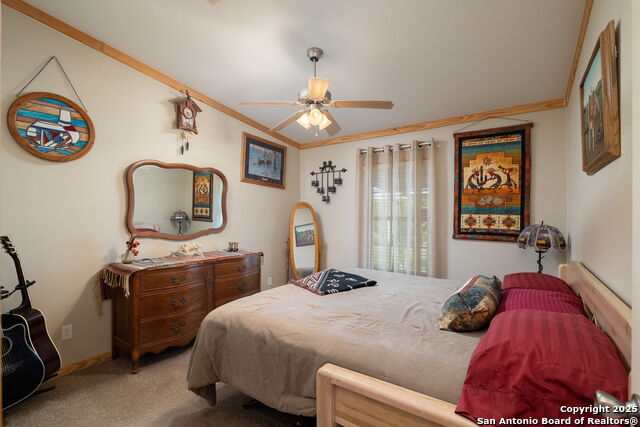 Listing photo id 42 for 18434 Fm 471