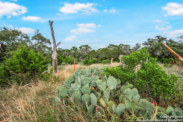 Listing photo id 51 for 1494 County Road 270