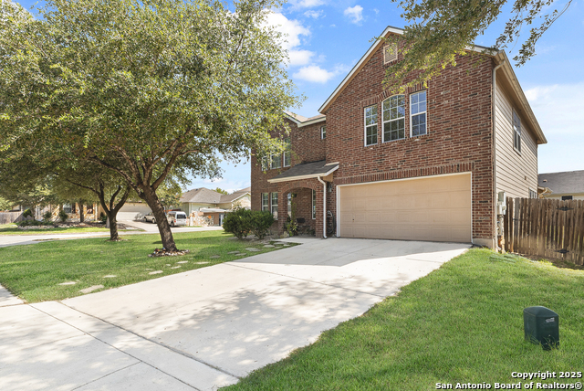 Image 2 of 30 For 3941 Cherry Tree