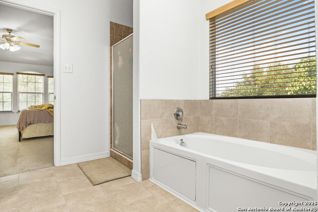 Image 27 of 30 For 3941 Cherry Tree