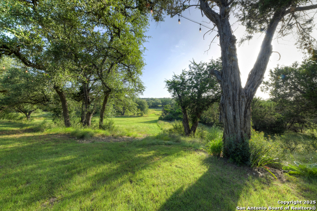 Image 46 of 66 For 1855 Texas Oaks
