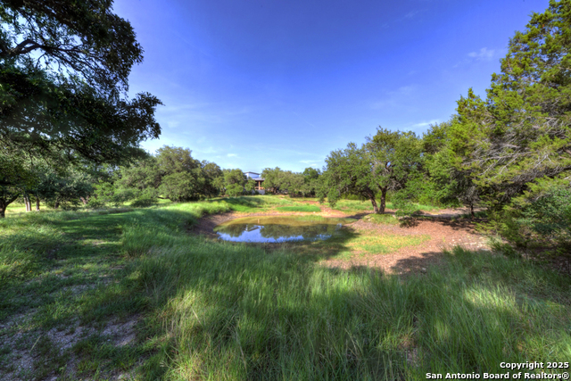 Image 47 of 66 For 1855 Texas Oaks