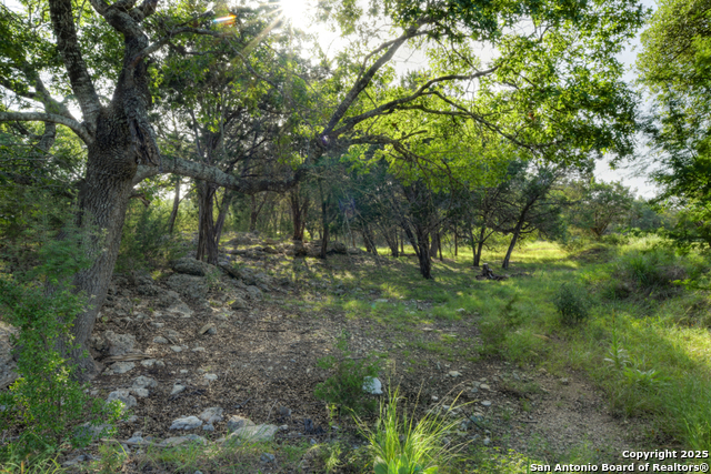 Image 48 of 66 For 1855 Texas Oaks