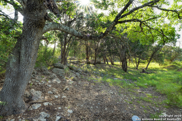 Image 49 of 66 For 1855 Texas Oaks