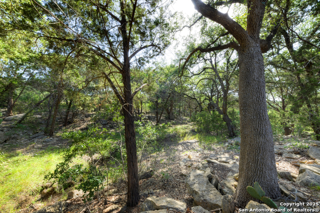 Image 55 of 66 For 1855 Texas Oaks