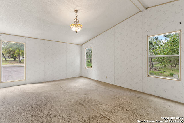 Image 10 of 48 For 1040 Wild Flower