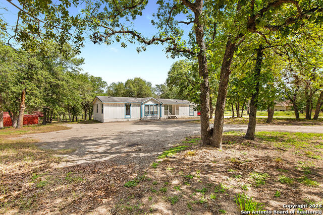 Image 2 of 48 For 1040 Wild Flower