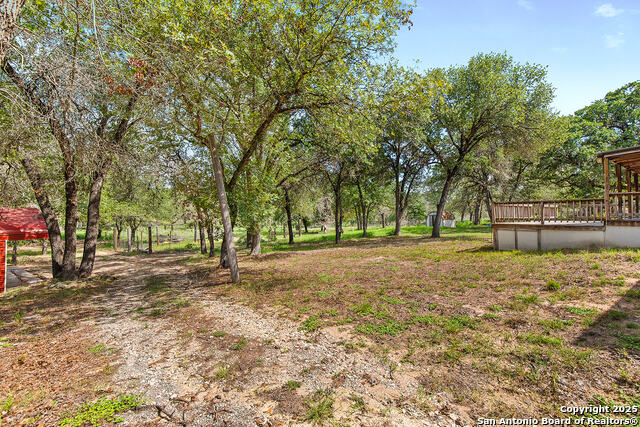 Image 24 of 48 For 1040 Wild Flower