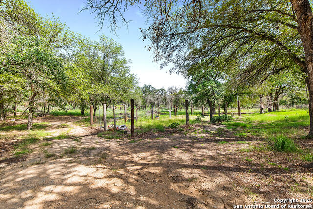 Image 25 of 48 For 1040 Wild Flower