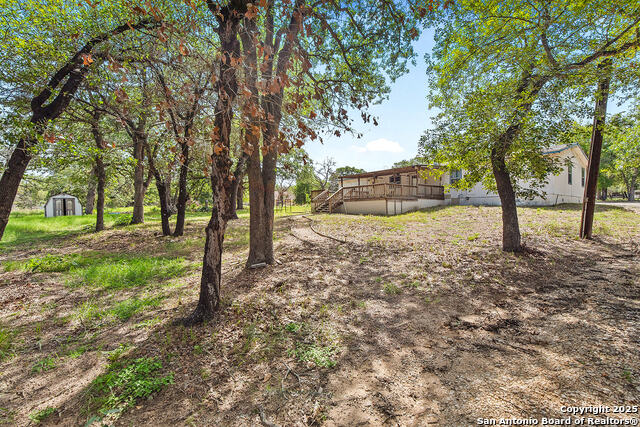 Image 26 of 48 For 1040 Wild Flower