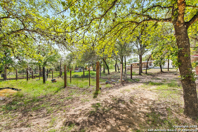 Image 28 of 48 For 1040 Wild Flower