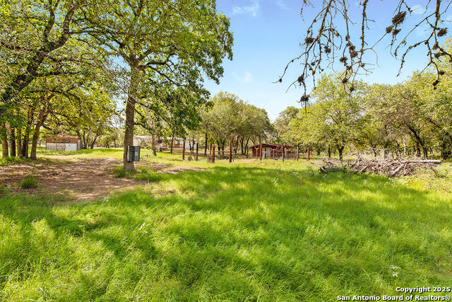 Image 29 of 48 For 1040 Wild Flower