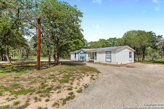 Image 3 of 48 For 1040 Wild Flower