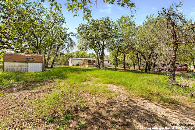 Image 30 of 48 For 1040 Wild Flower