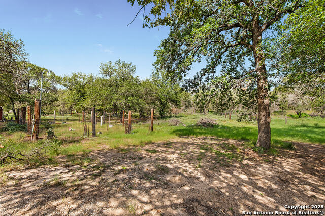 Image 31 of 48 For 1040 Wild Flower