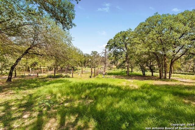 Image 33 of 48 For 1040 Wild Flower