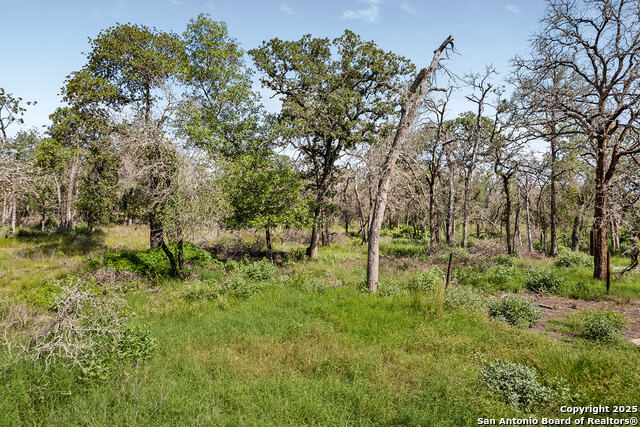 Image 36 of 48 For 1040 Wild Flower